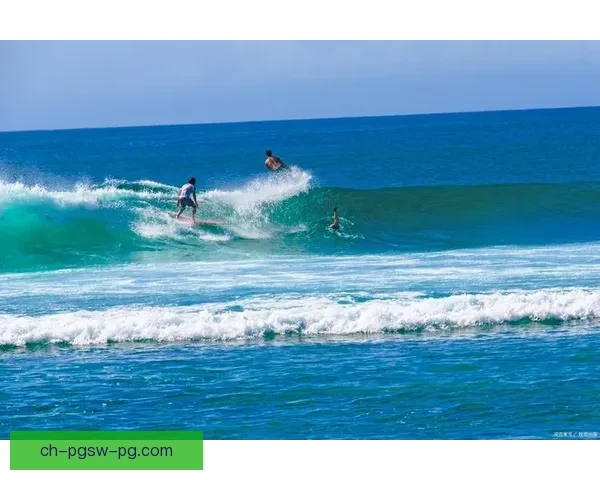 全球冲浪杯：风浪激荡，热血角逐