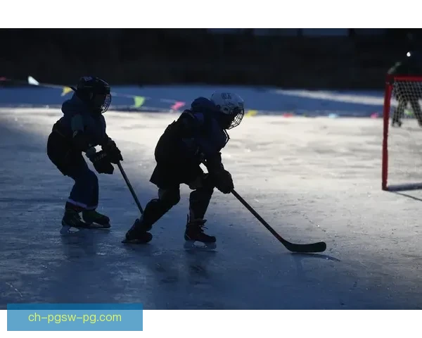 冰上之舞:探寻滑冰历史的千年踪迹 冰上之舞:探寻滑冰历史的千年踪迹