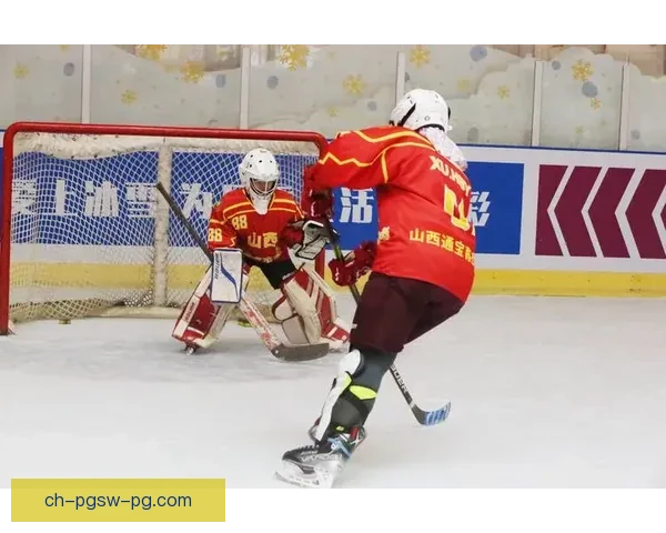 冰球精彩瞬间全记录：回放解说球场激情一刻