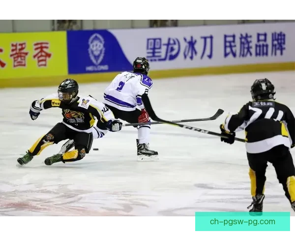 冰球锦标赛:冰场之战,激情飞扬 冰球锦标赛:冰场之战,激情飞扬