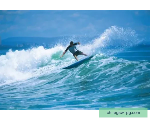 冲浪新手必知:掌握冲浪规则,享受乐趣 冲浪新手必知:掌握冲浪规则,享受乐趣