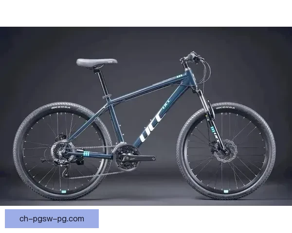 山地车赛事掀起热潮：挑战极限，赢得荣耀