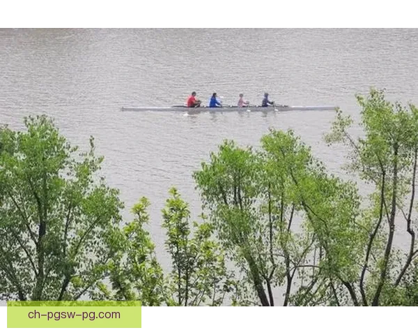 探索赛艇运动数据：挖掘背后的数据宝藏